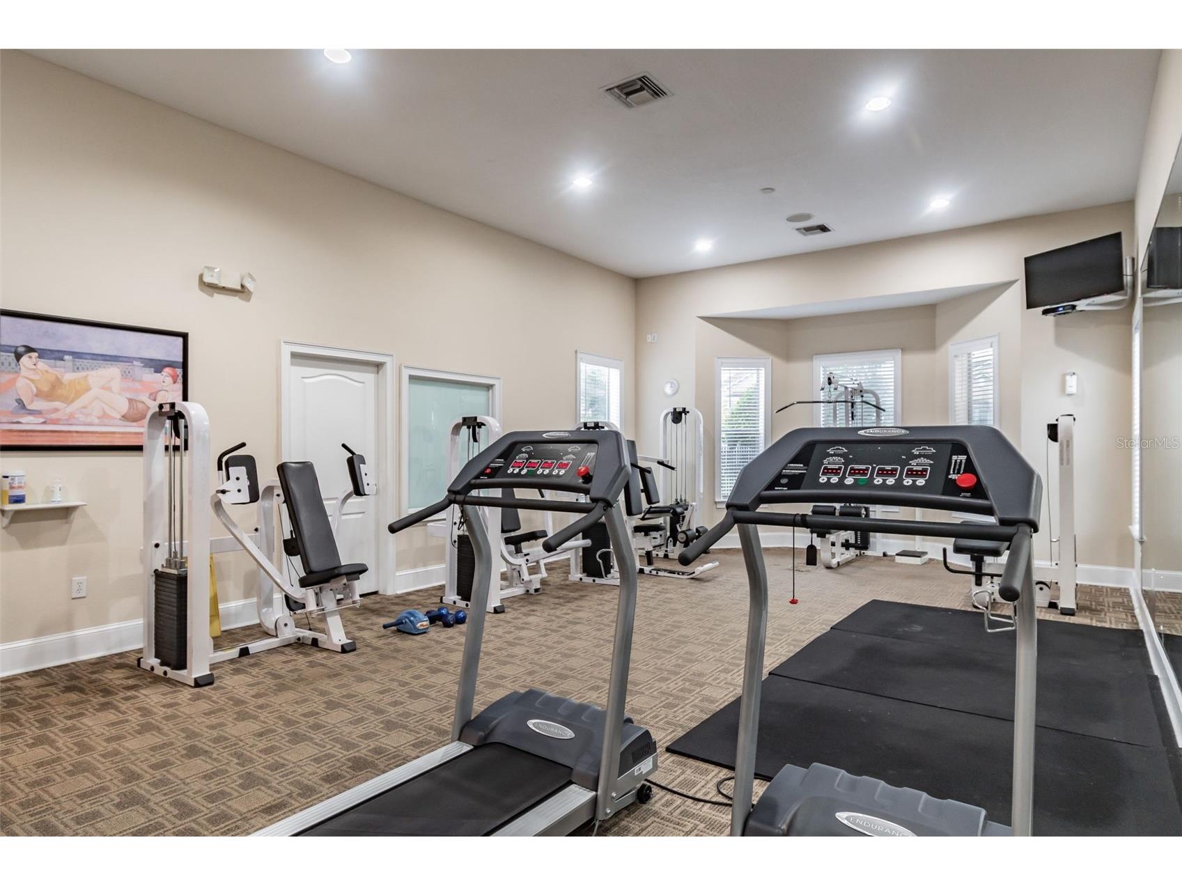 17932 Villa Creek Drive Tampa FL 33647 TB8461798 image62