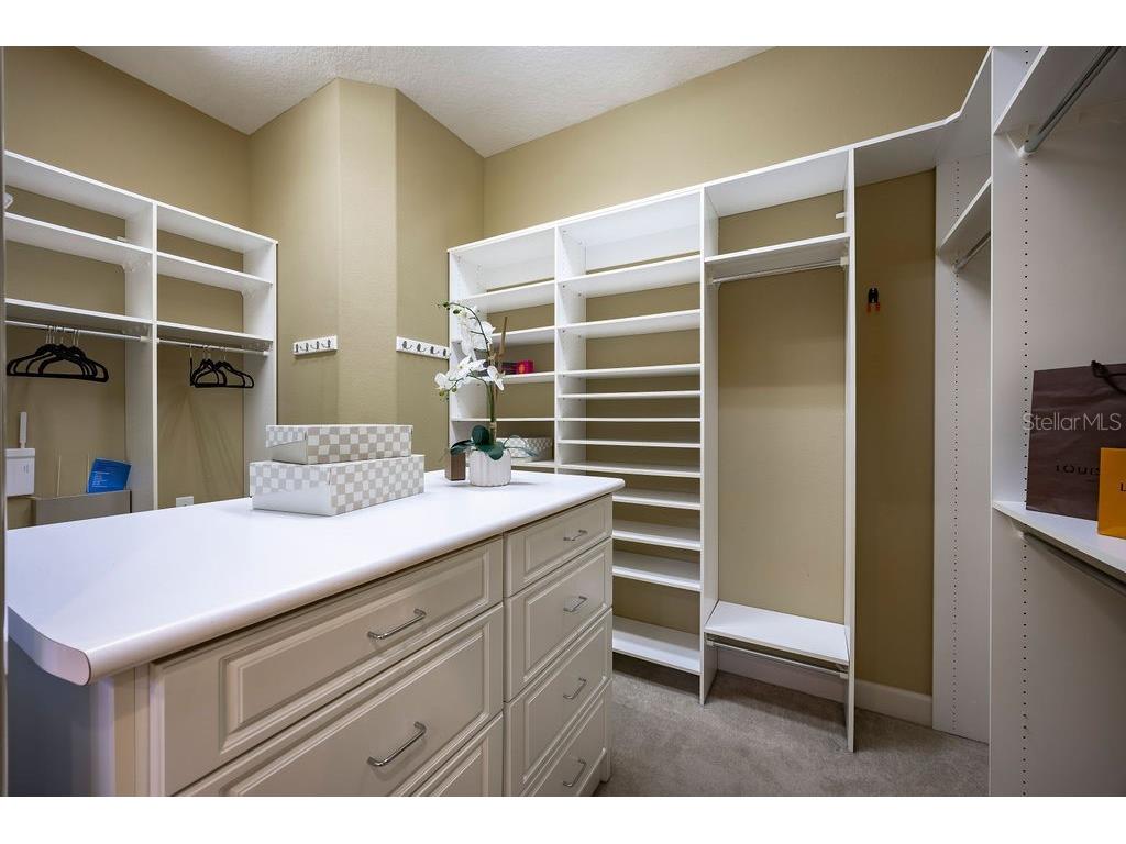 17933 Patterson Road Odessa FL 33556 A4683193 image27