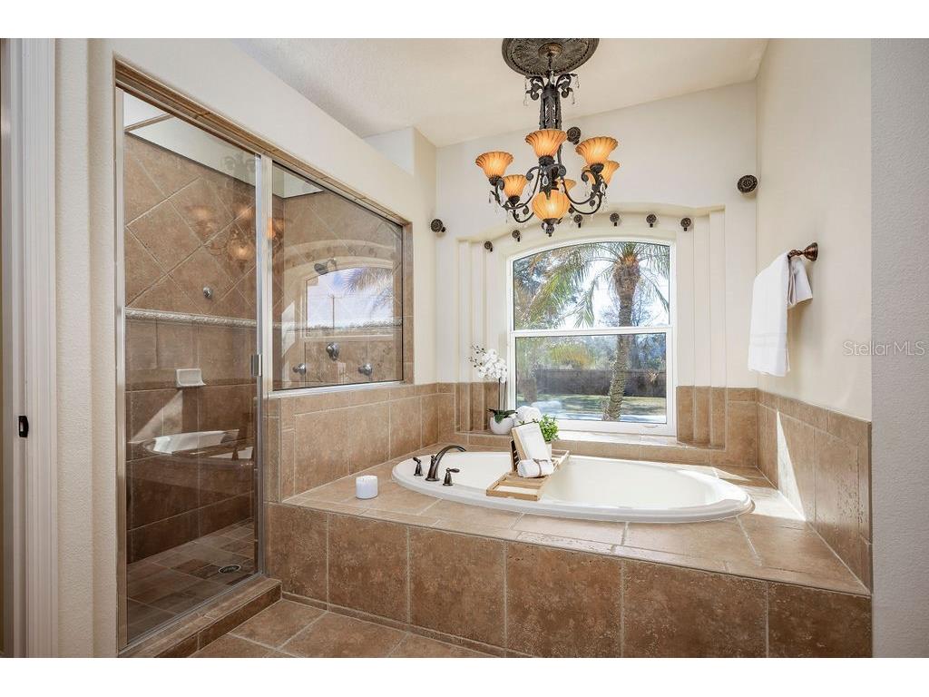 17933 Patterson Road Odessa FL 33556 A4683193 image28