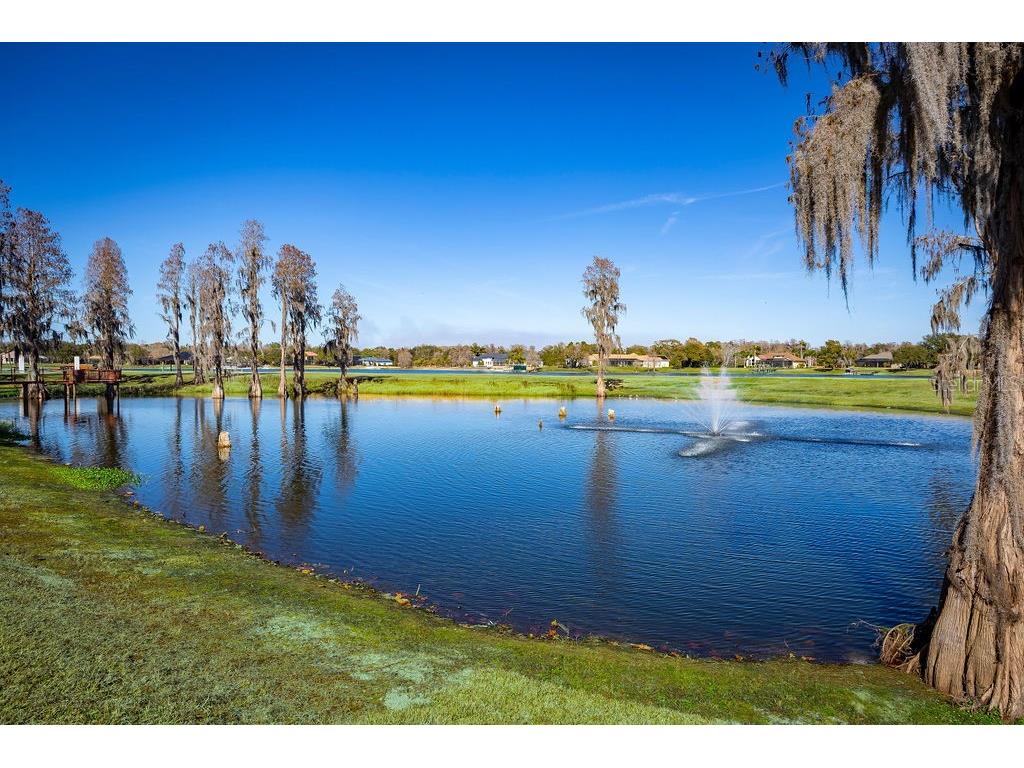 17933 Patterson Road Odessa FL 33556 A4683193 image9