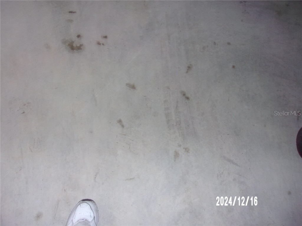 17935 SE 10th Place Silver Springs FL 34488 OM691769 image33