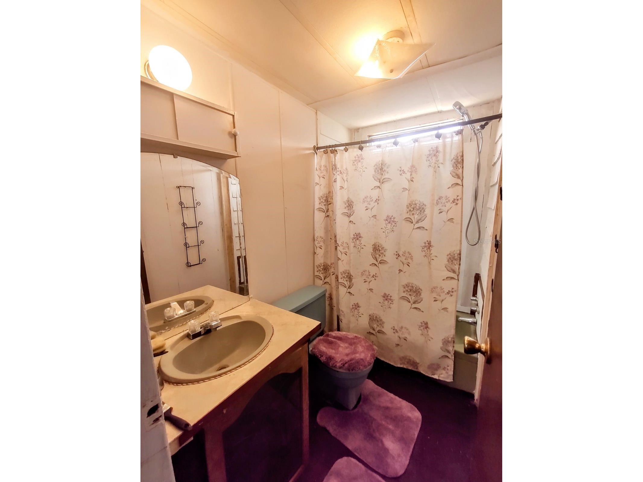 17936 SE 95th Street Road Ocklawaha FL 32179 TB8515827 image12