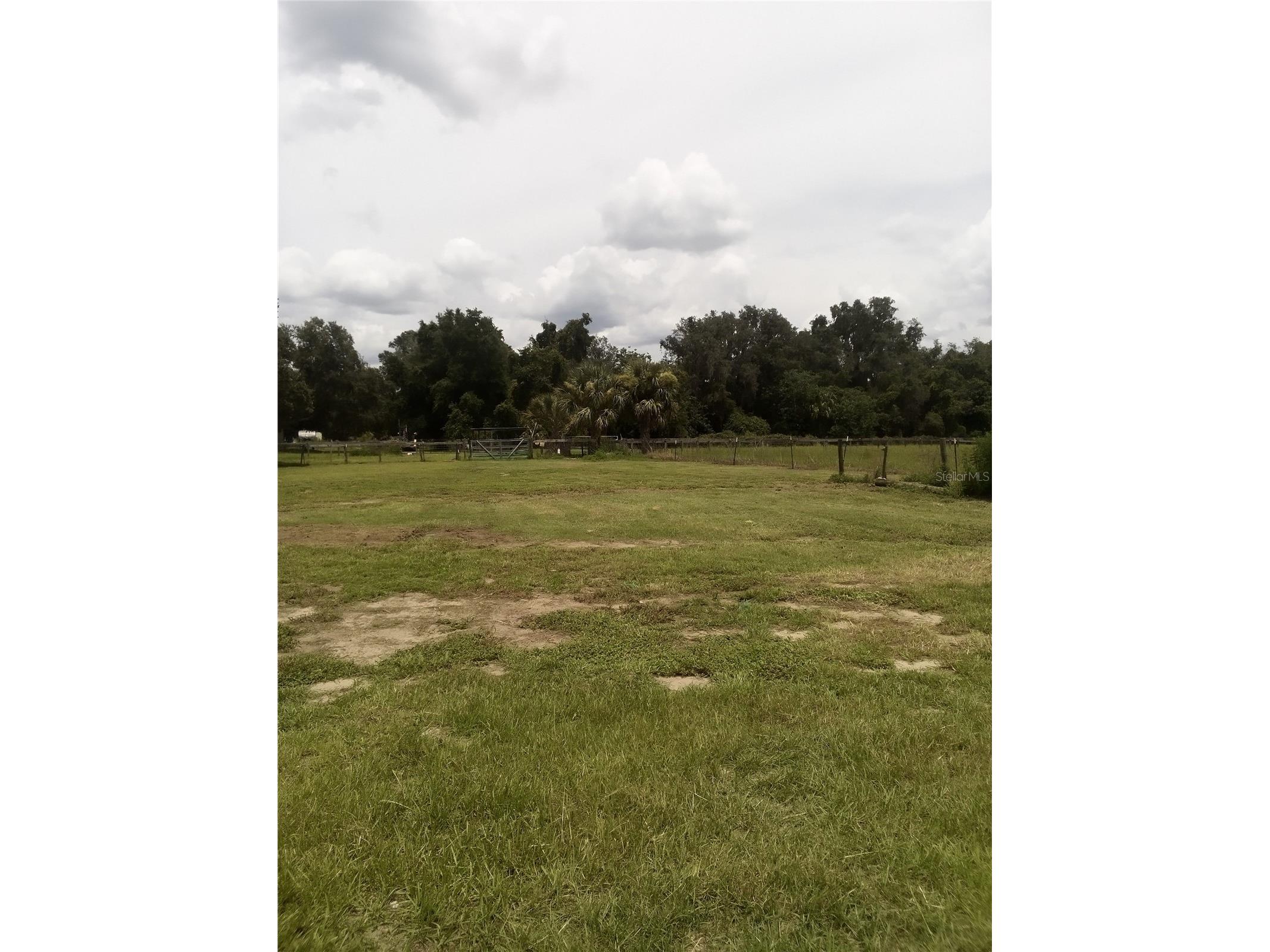 17936 SE 95th Street Road Ocklawaha FL 32179 TB8515827 image14