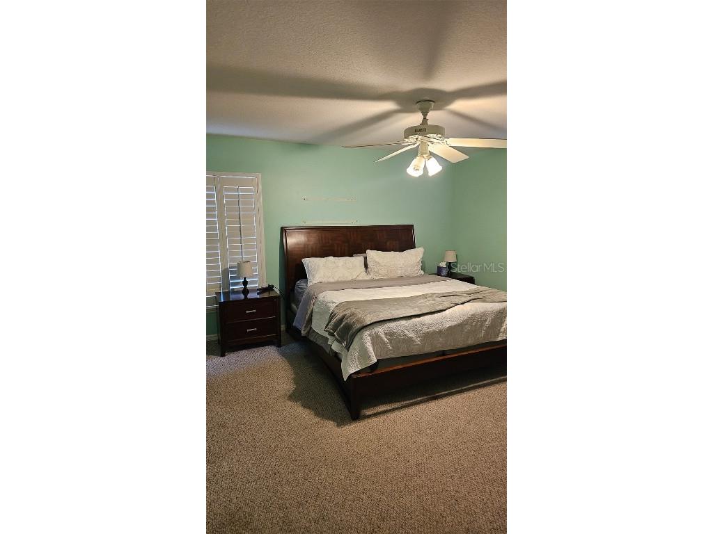 17936 W Phil C Peters Rd Road Winter Garden FL 34787 O6347957 image14