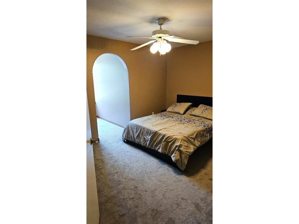 17936 W Phil C Peters Rd Road Winter Garden FL 34787 O6347957 image17