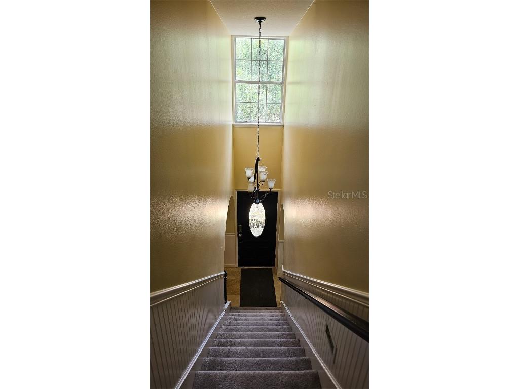 17936 W Phil C Peters Rd Road Winter Garden FL 34787 O6347957 image21