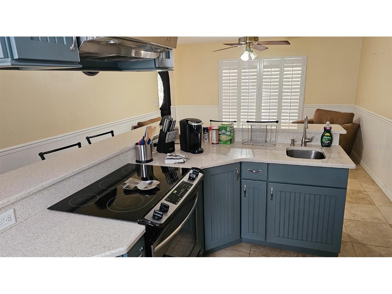 17936 W Phil C Peters Rd Road Winter Garden FL 34787 O6347957 image7