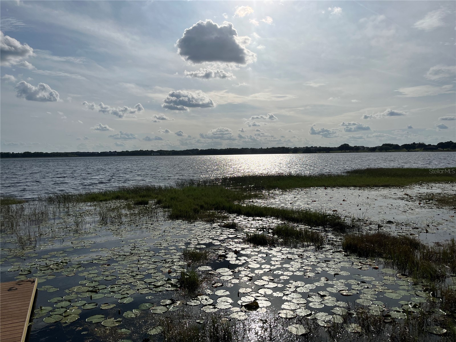 1794 Perch Hammock Loop Groveland FL 34736 G5111782 image37