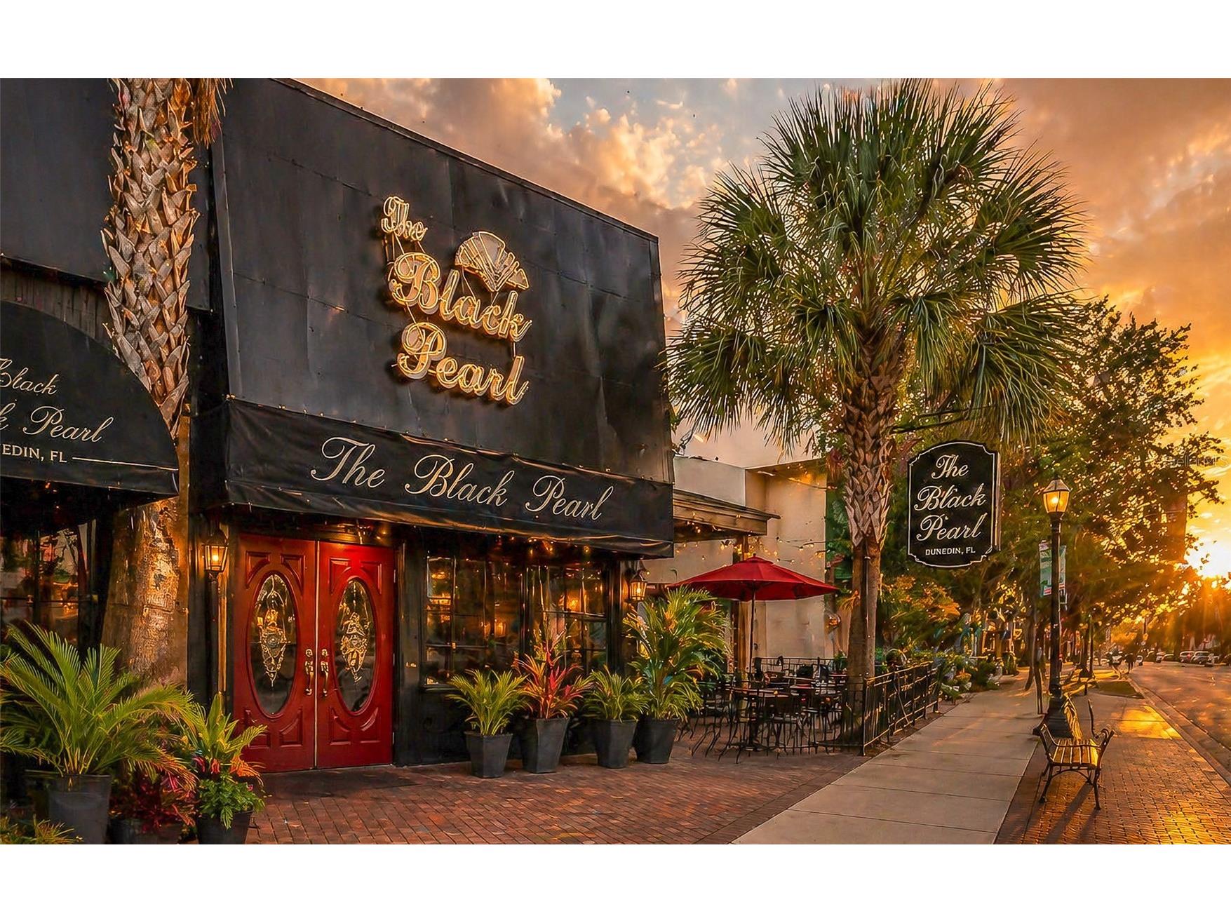 1794 Santa Barbara Drive Dunedin FL 34698 TB8501608 image41