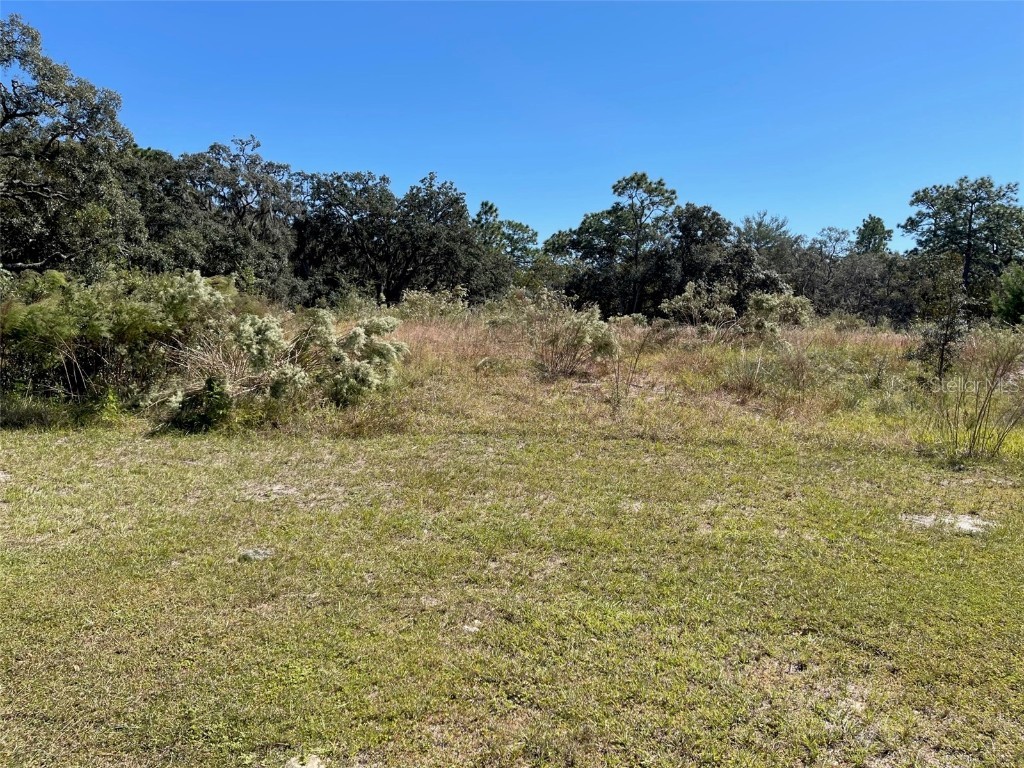 17942 Oggie Lane Hudson FL 34667 U8180051 image1