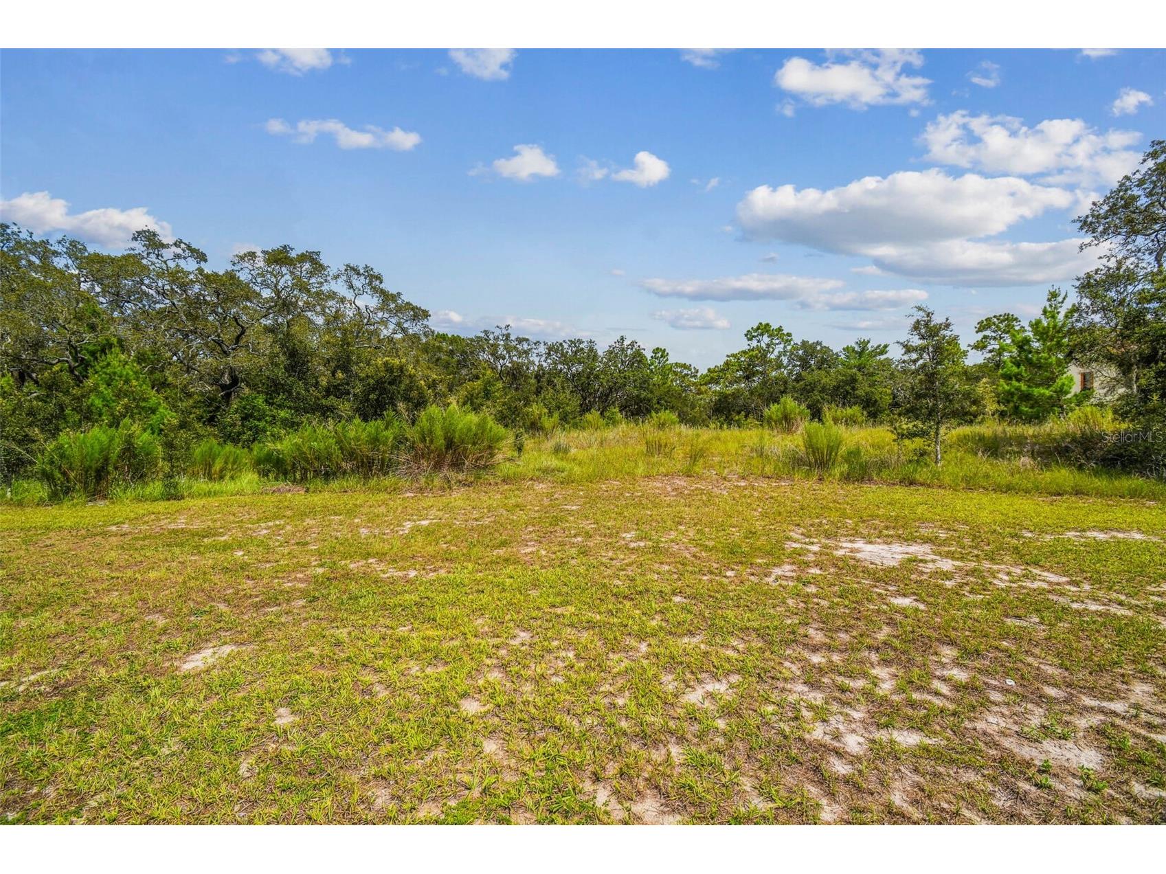 17942 Oggie Lane Hudson FL 34667 TB8415291 image11