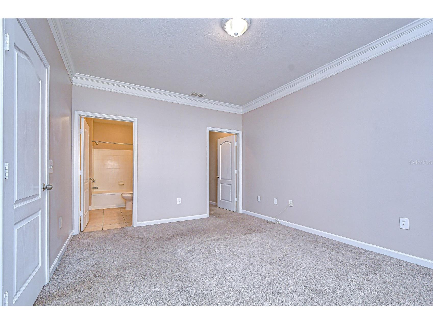 17942 Villa Creek Drive #17942 Tampa FL 33647 TB8497117 image31