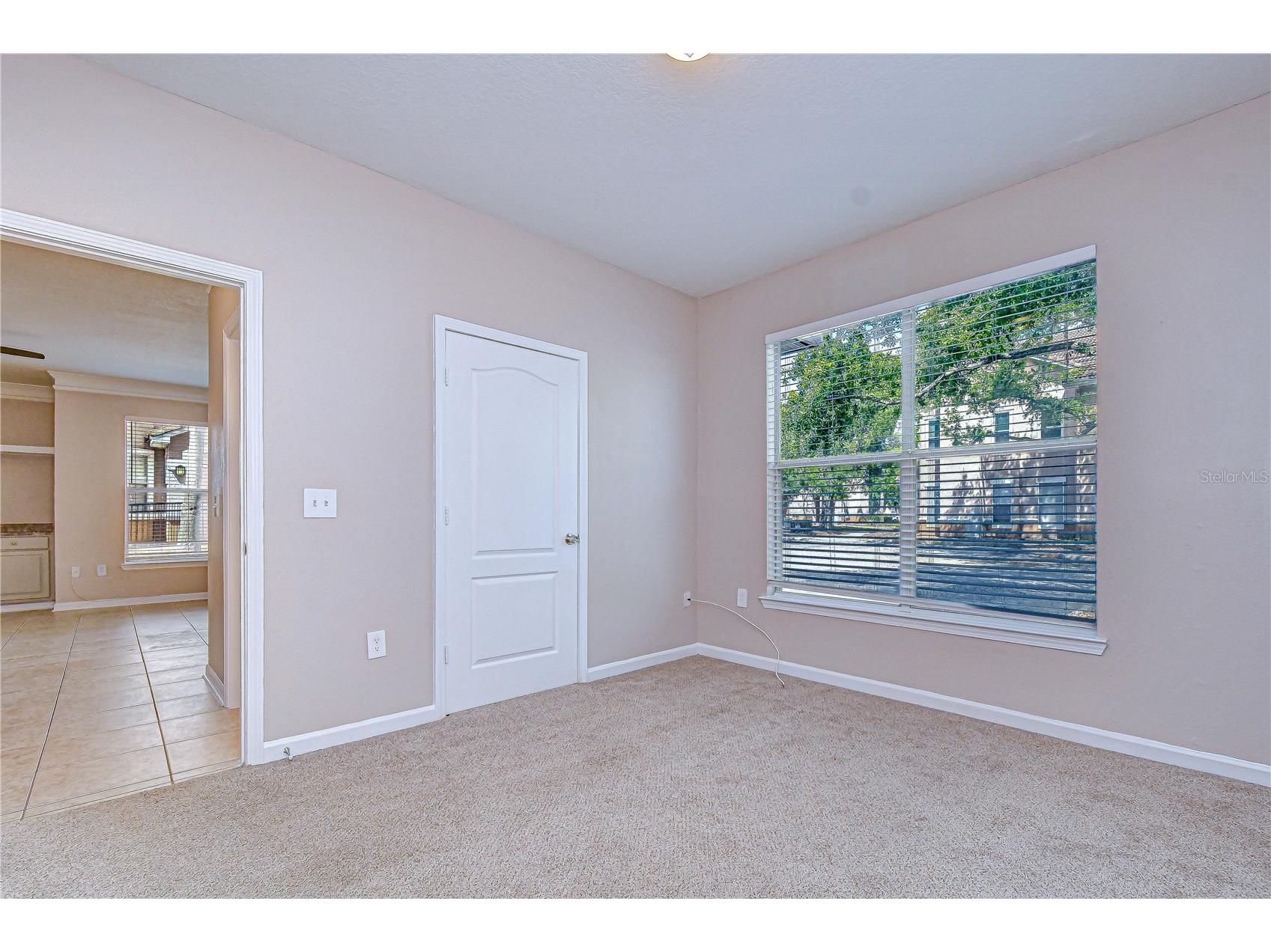 17942 Villa Creek Drive #17942 Tampa FL 33647 TB8497117 image38