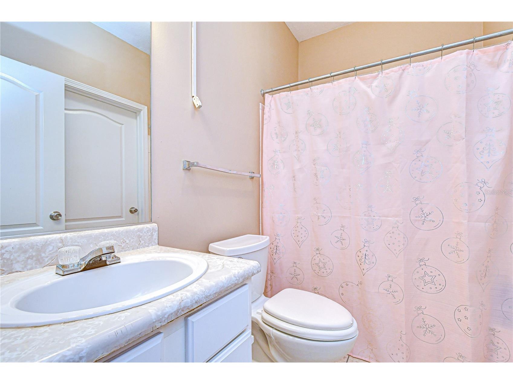 17942 Villa Creek Drive #17942 Tampa FL 33647 TB8497117 image44