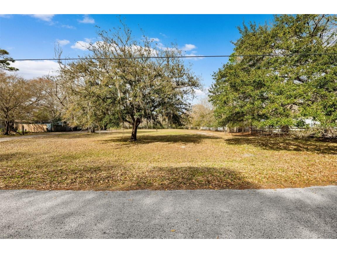 17945 Dogwood Drive Lutz FL 33558 W7861984 image1