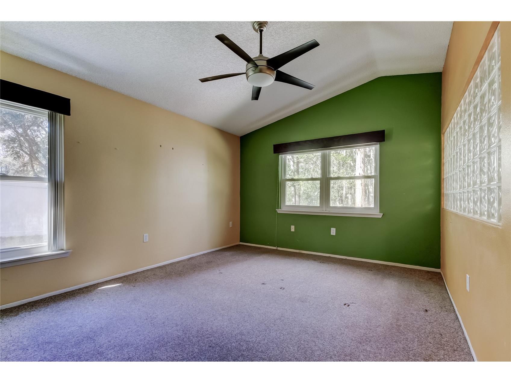 1795 Bayhill Drive Oldsmar FL 34677 TB8476650 image23