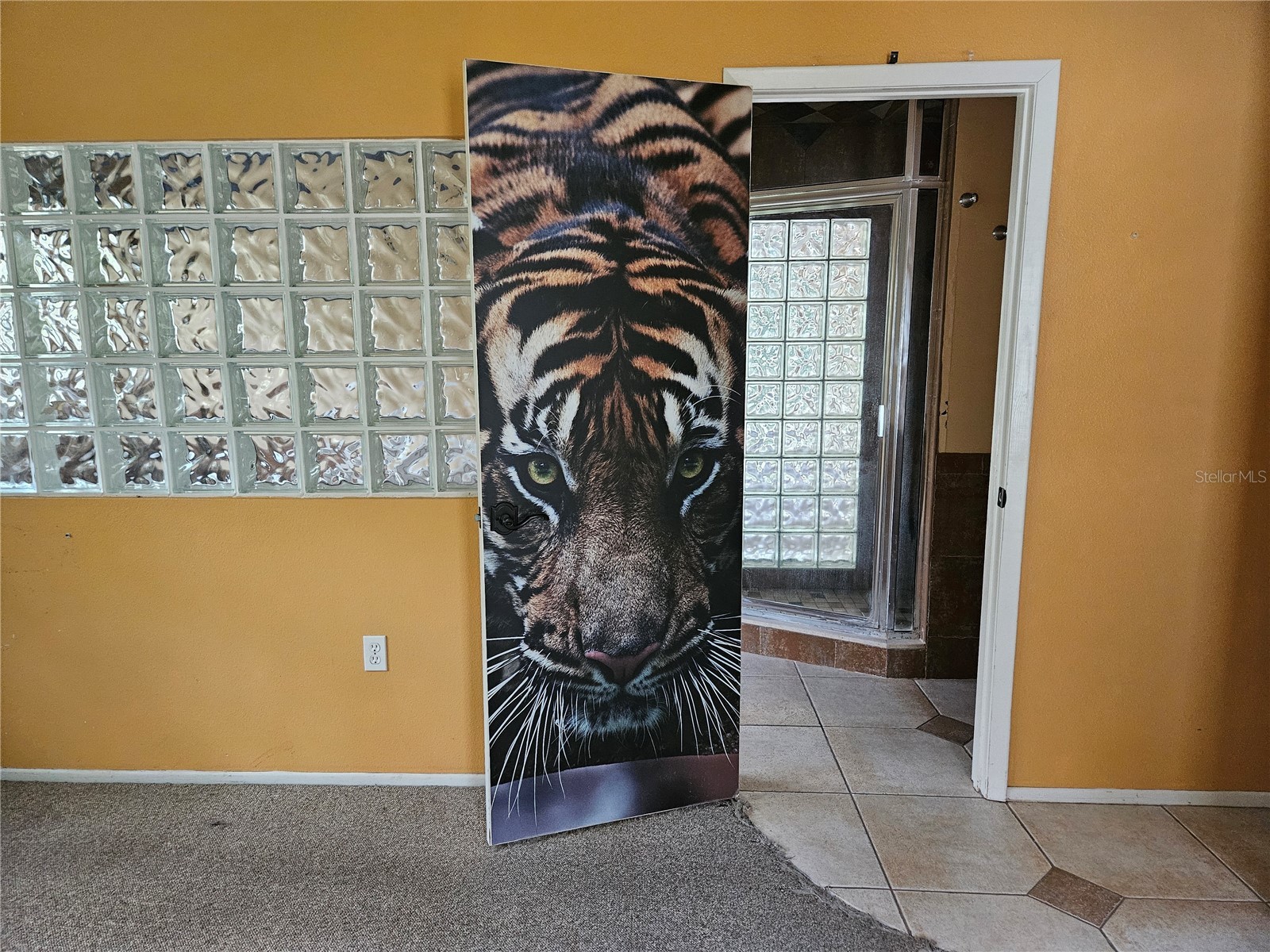1795 Bayhill Drive Oldsmar FL 34677 TB8476650 image26