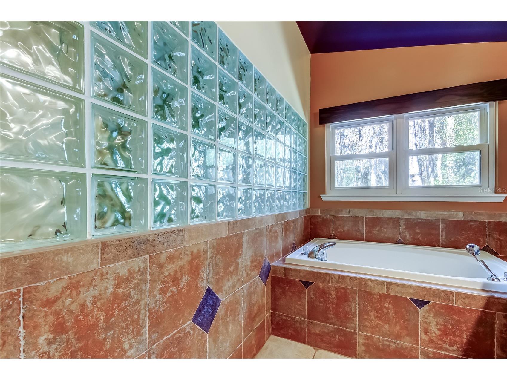 1795 Bayhill Drive Oldsmar FL 34677 TB8476650 image28