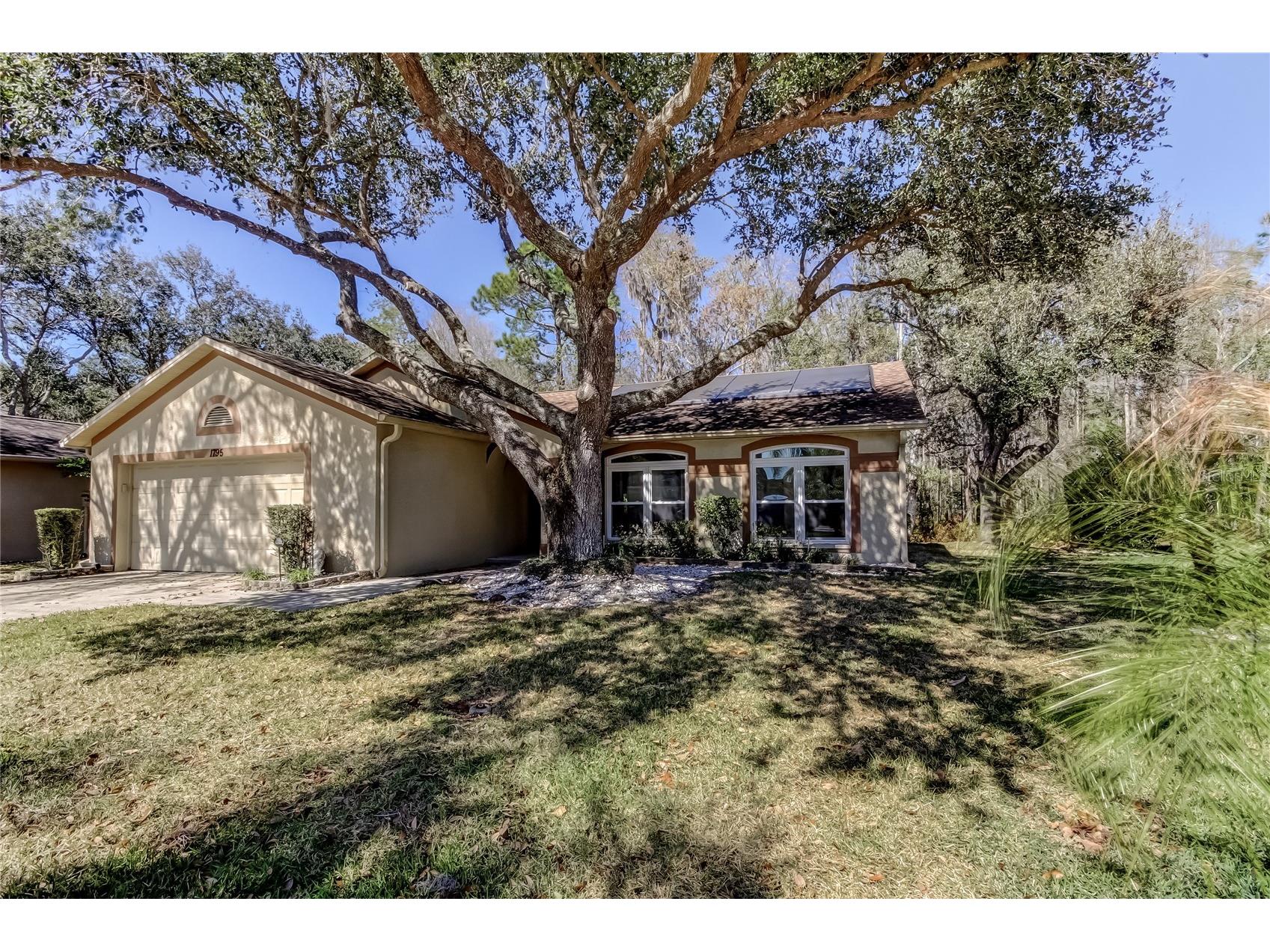 1795 Bayhill Drive Oldsmar FL 34677 TB8476650 image3