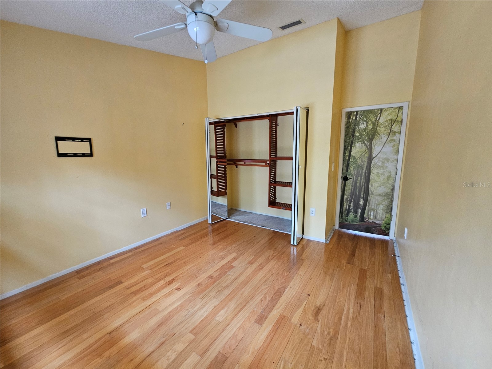1795 Bayhill Drive Oldsmar FL 34677 TB8476650 image32