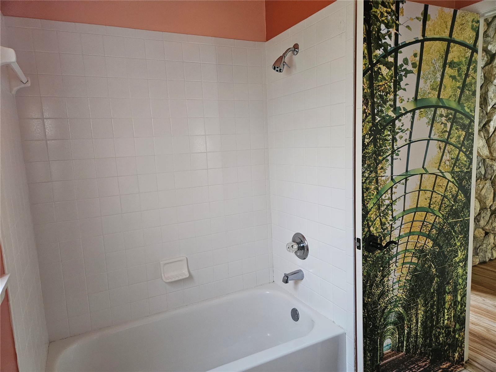 1795 Bayhill Drive Oldsmar FL 34677 TB8476650 image35