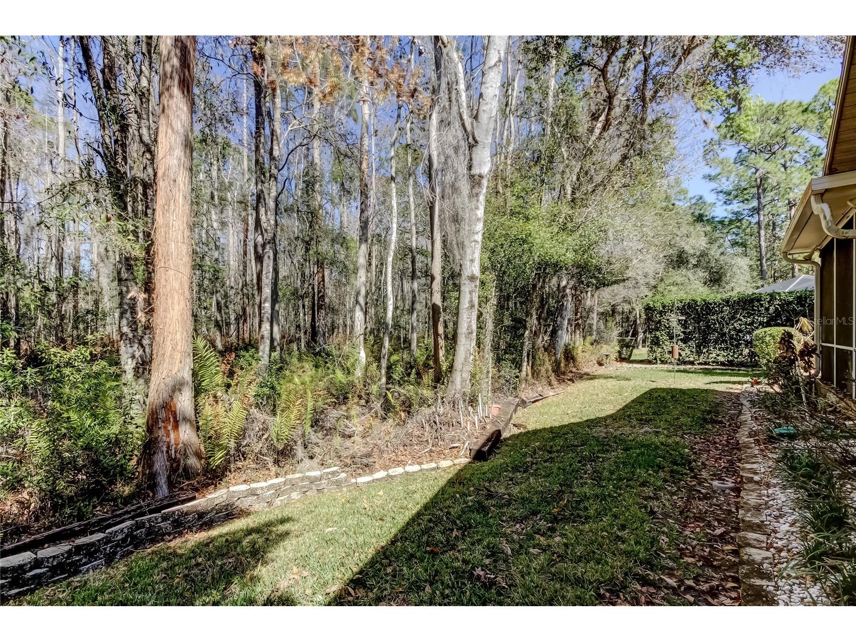 1795 Bayhill Drive Oldsmar FL 34677 TB8476650 image46