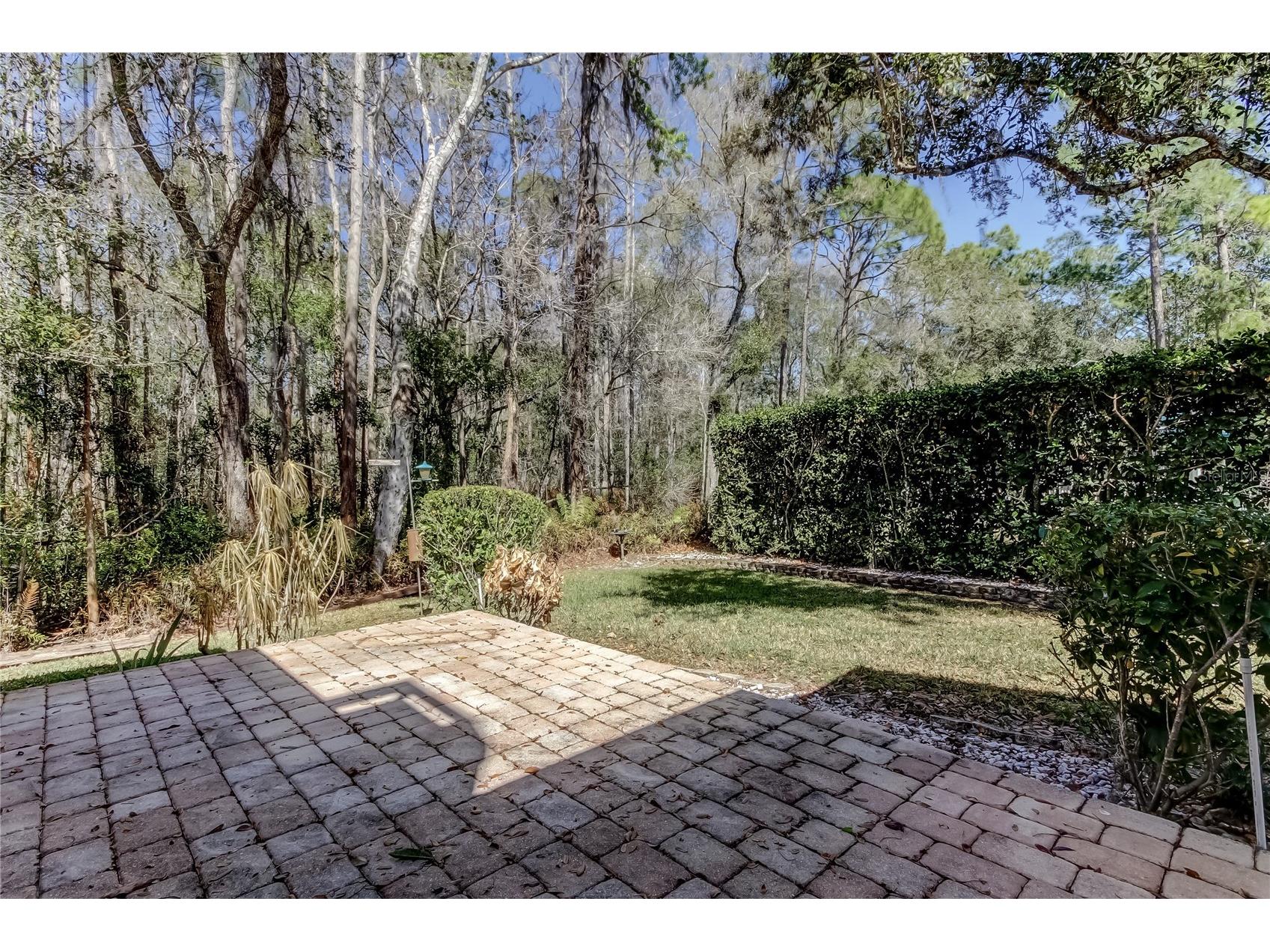 1795 Bayhill Drive Oldsmar FL 34677 TB8476650 image47