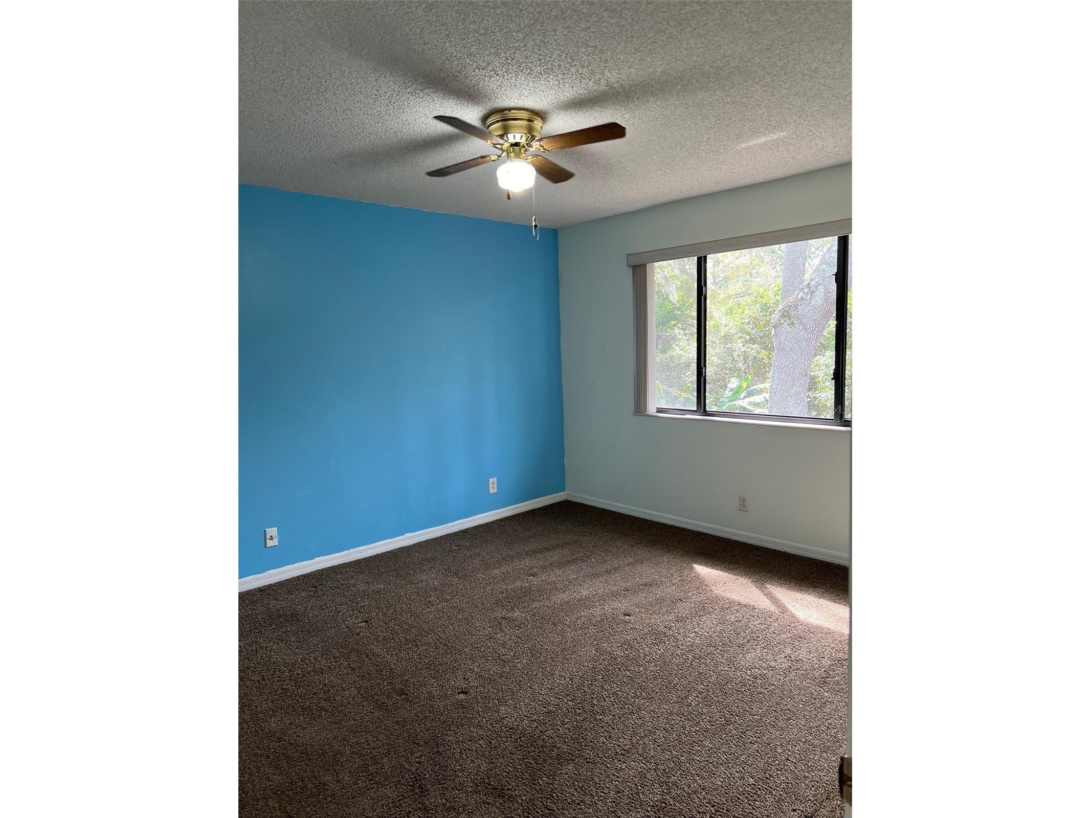 1795 Harrison Street #215 Titusville FL 32780 V4945696 image13