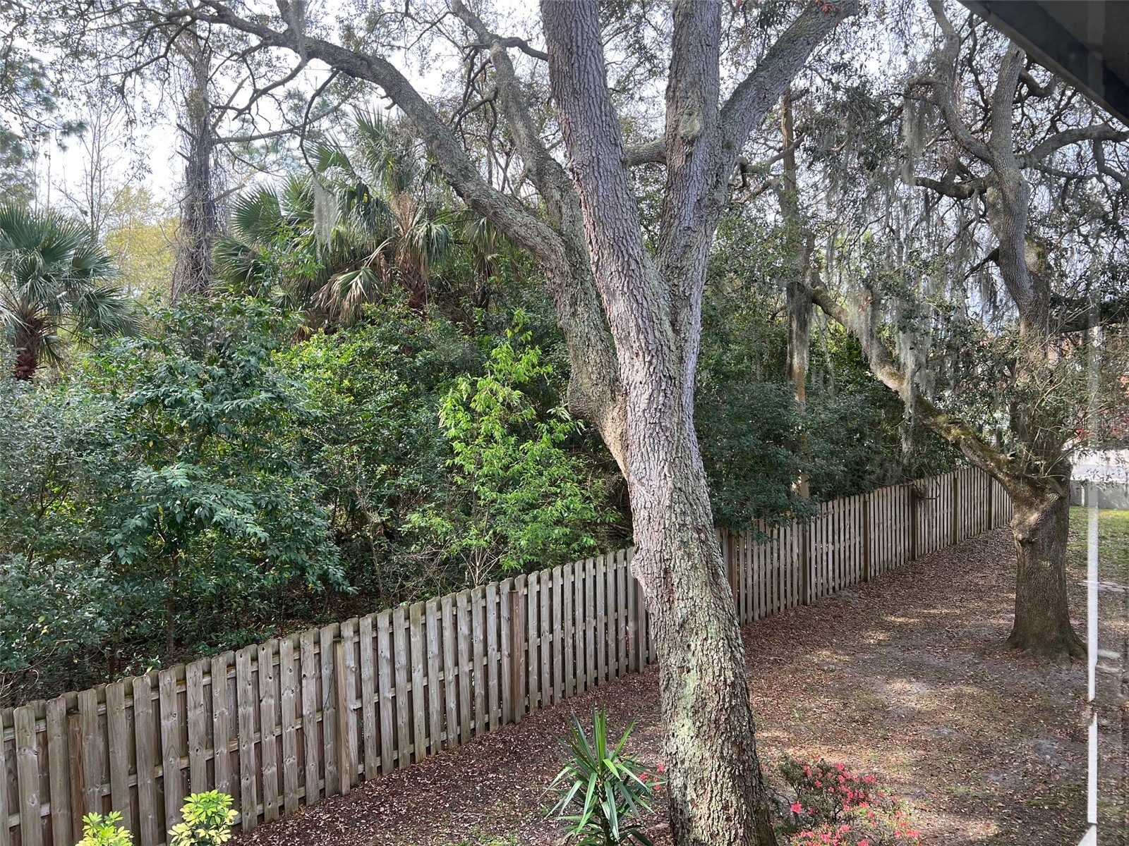 1795 Harrison Street #215 Titusville FL 32780 V4945696 image22