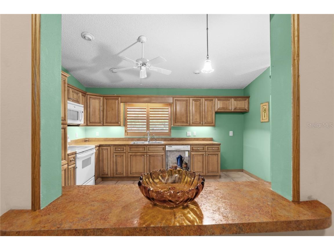 1795 Trinidad Street Deland FL 32720 V4943830 image7