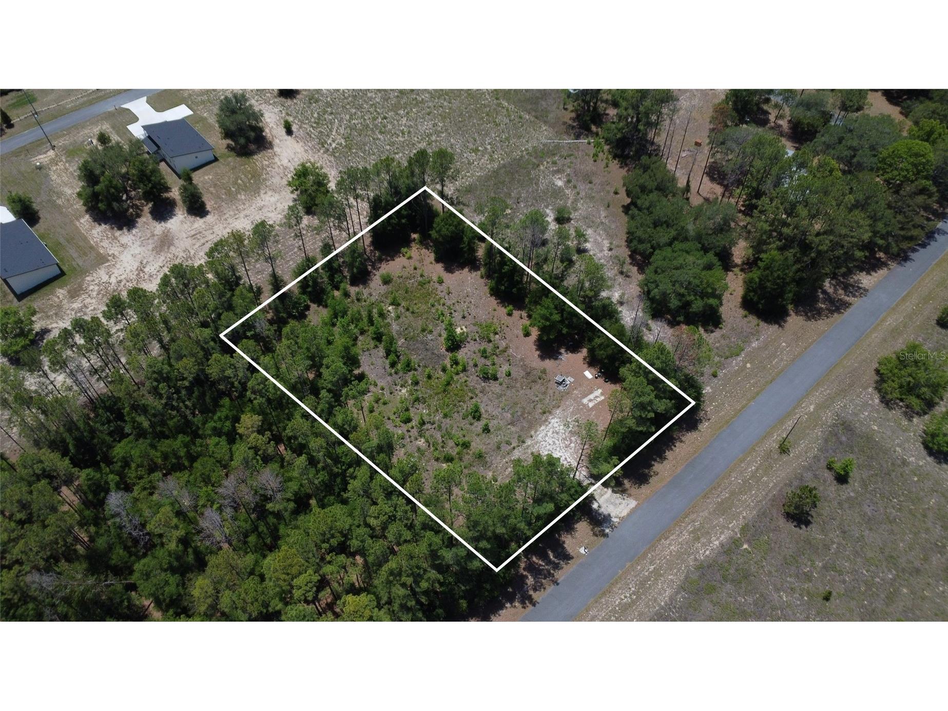 17950 SE 60th Lane Morriston FL 32668 OM724225 image1