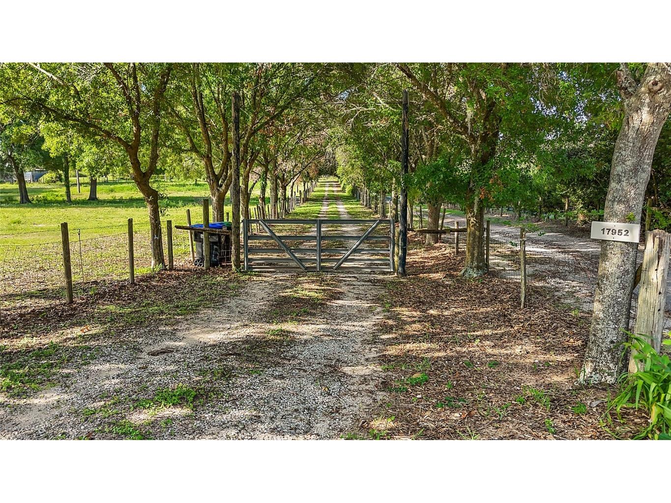 17952 Lookout Hill Road Winter Garden FL 34787 O6336993 image6