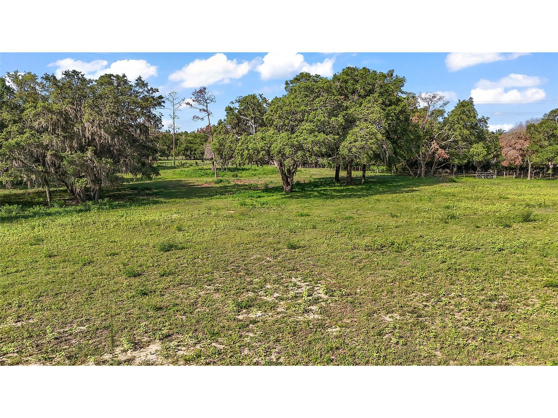 17952 Lookout Hill Road Winter Garden FL 34787 O6373477 image14