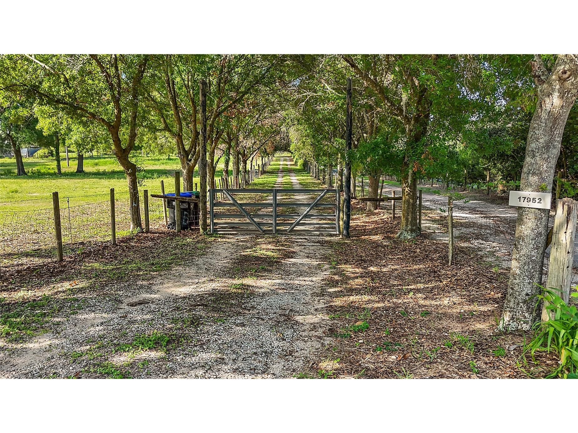 17952 Lookout Hill Road Winter Garden FL 34787 O6373477 image15