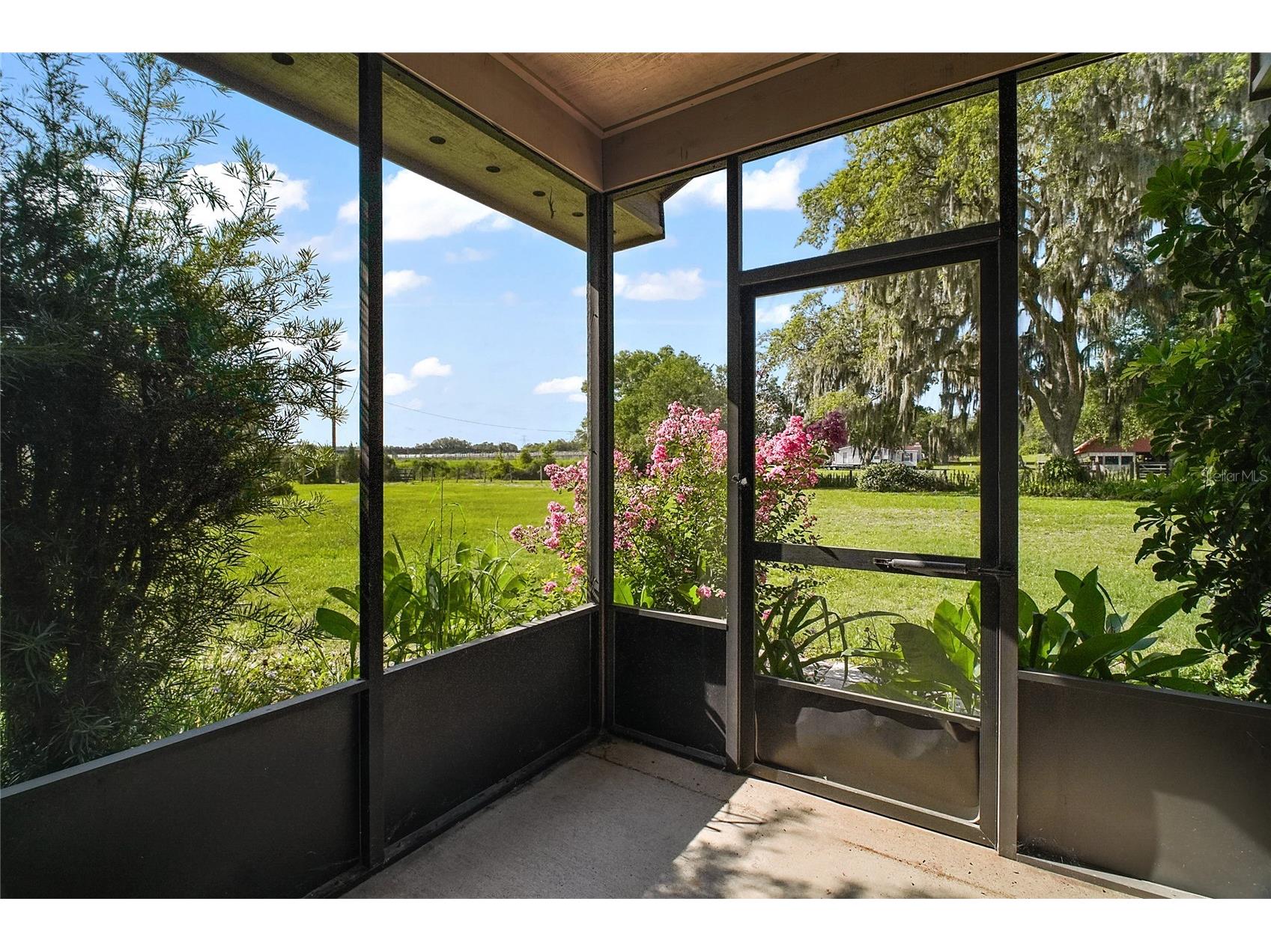 17952 Lookout Hill Road Winter Garden FL 34787 O6373477 image30