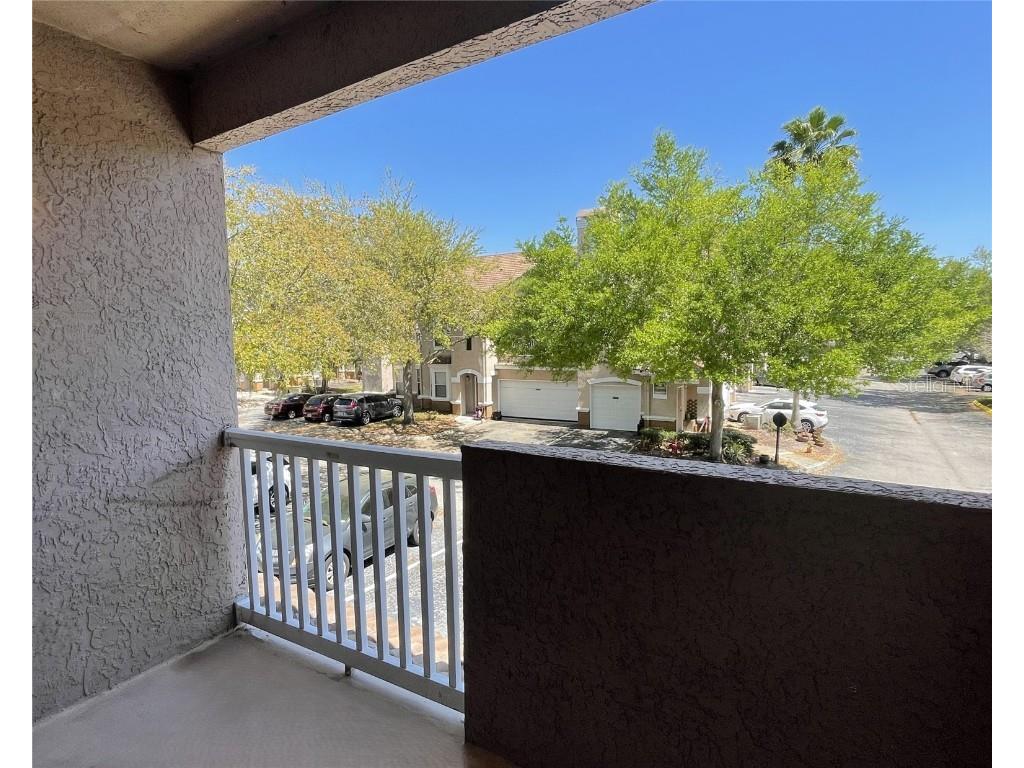 17952 Villa Creek Drive Tampa FL 33647 O6325941 image13