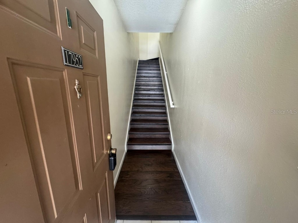 17952 Villa Creek Drive Tampa FL 33647 O6325941 image2