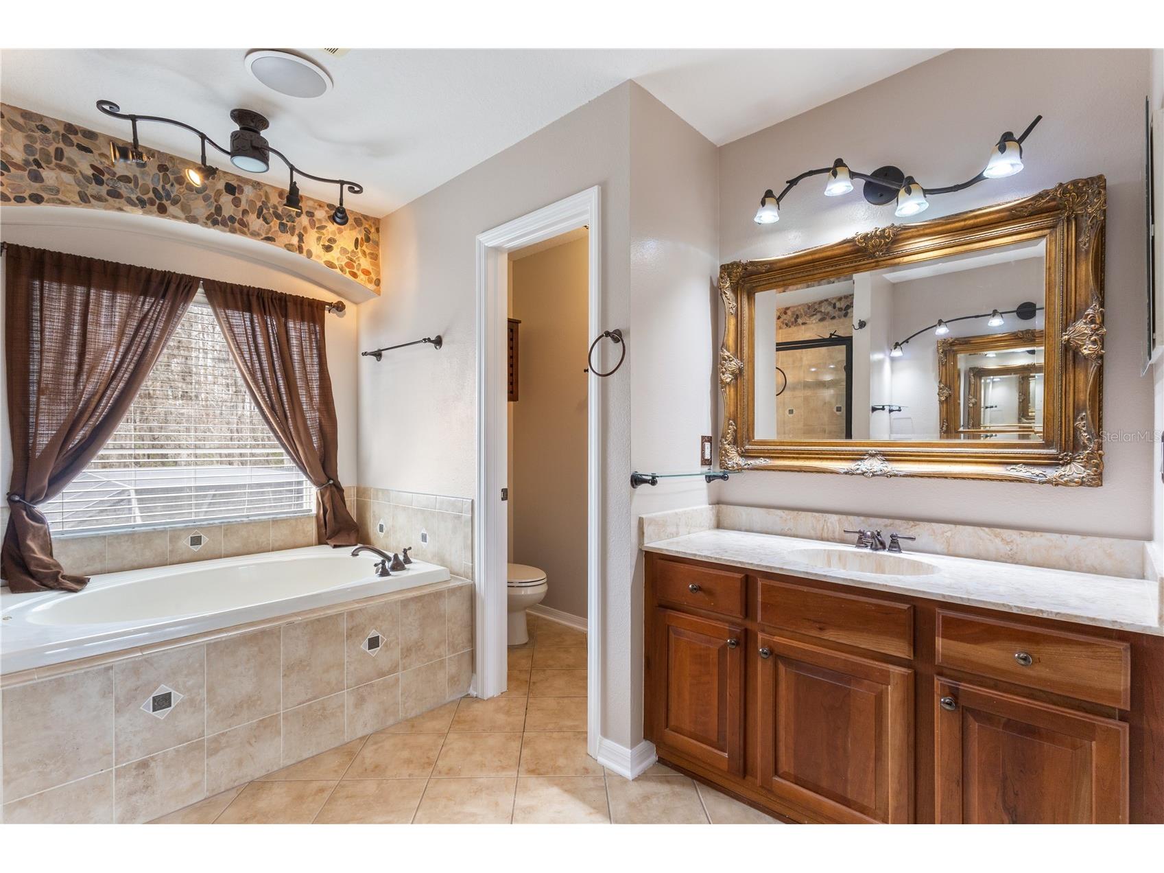 17953 Cunningham Court Land O Lakes FL 34638 TB8479678 image14