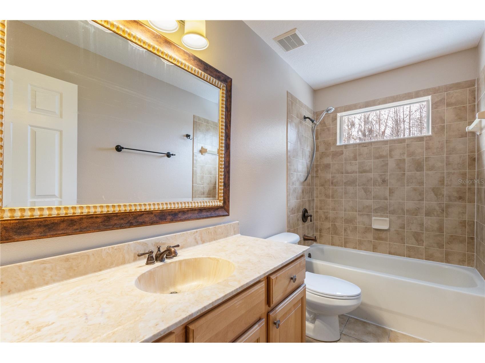 17953 Cunningham Court Land O Lakes FL 34638 TB8479678 image21