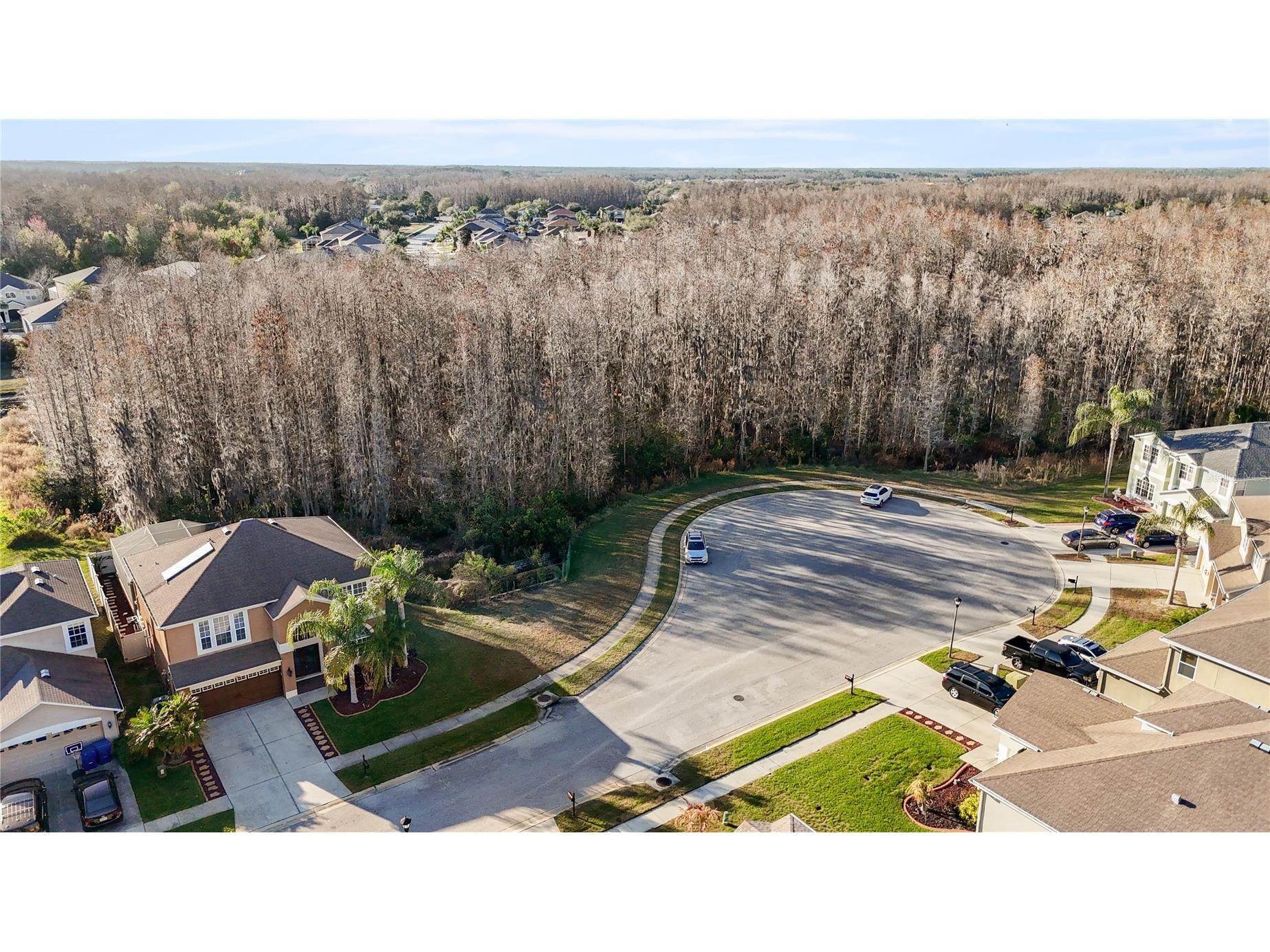 17953 Cunningham Court Land O Lakes FL 34638 TB8479678 image3