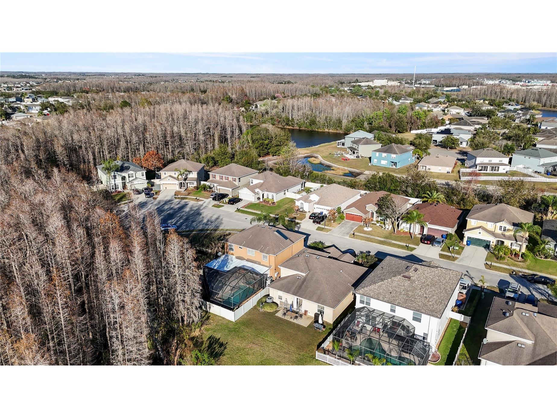 17953 Cunningham Court Land O Lakes FL 34638 TB8479678 image34