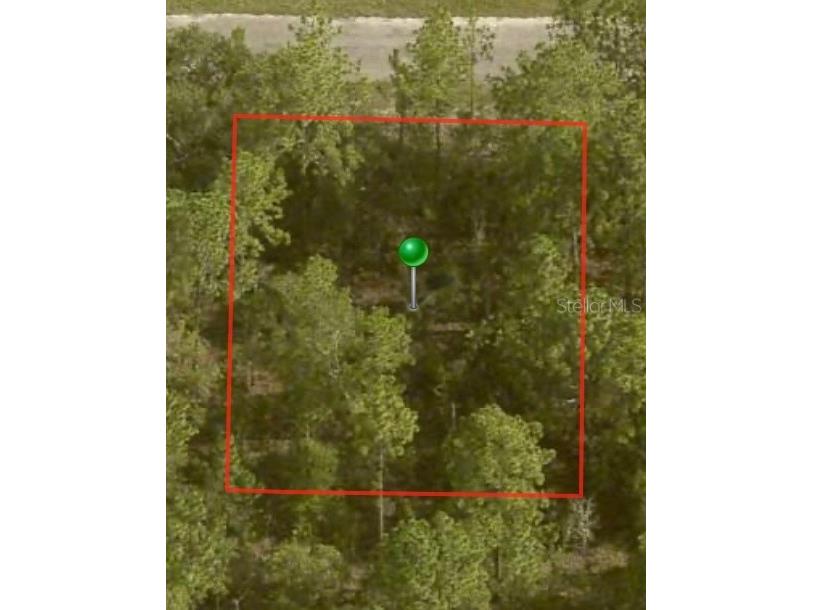 1796 W Skyline Drive Citrus Springs FL 34434 A4595521 image1