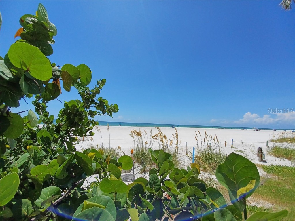 17960 Gulf Boulevard #118 Redington Shores FL 33708 TB8423911 image36