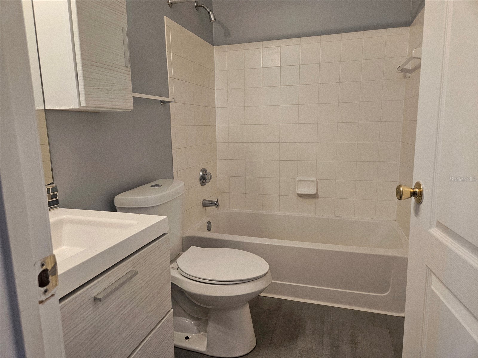 17962 Villa Creek Drive #17962 Tampa FL 33647 G5109062 image19