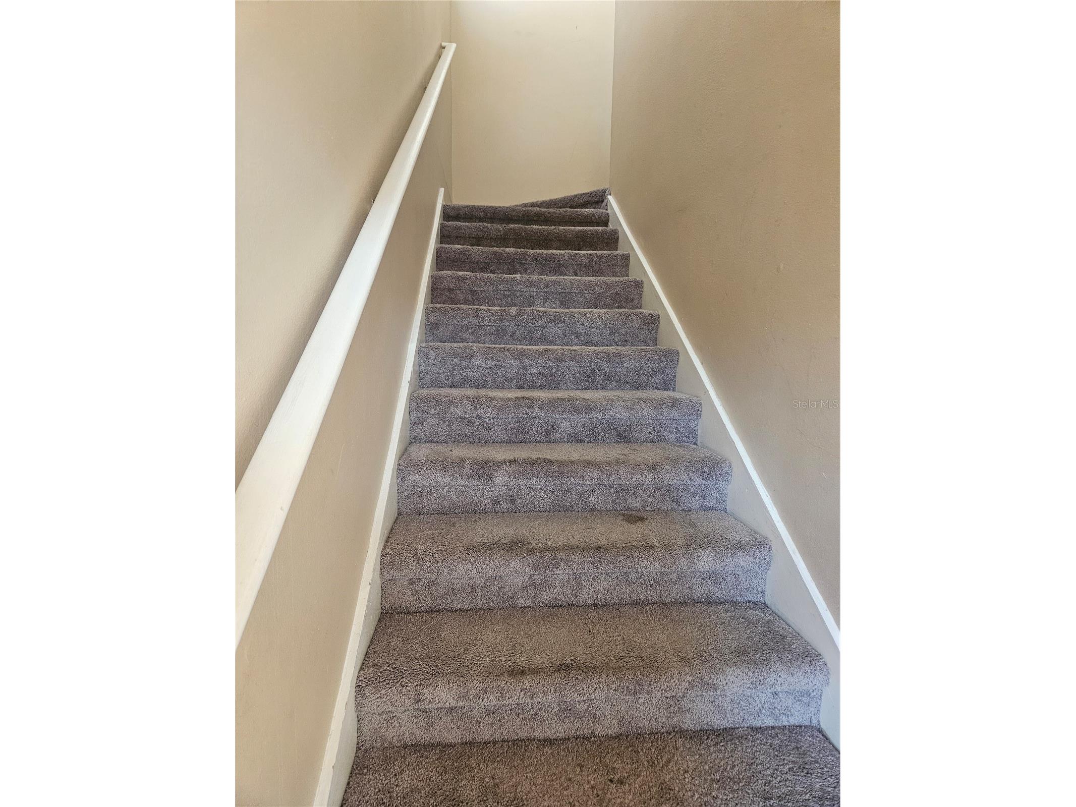 17962 Villa Creek Drive #17962 Tampa FL 33647 G5109062 image6