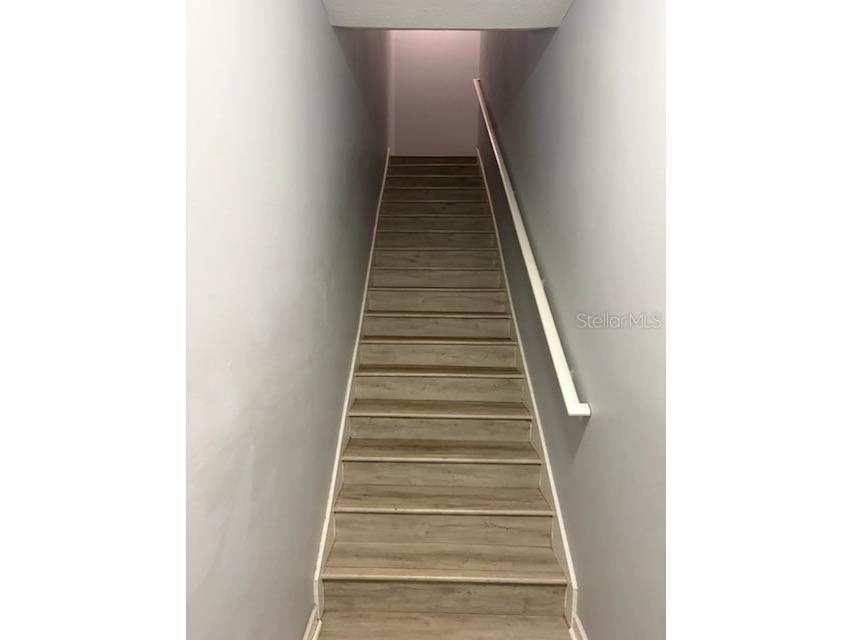 17965 Villa Creek Drive Tampa FL 33647 TB8473936 image2