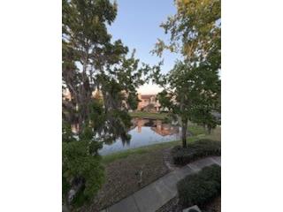17965 Villa Creek Drive Tampa FL 33647 TB8473936 image29