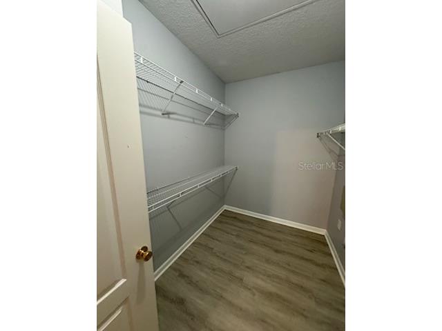 17965 Villa Creek Drive Tampa FL 33647 TB8473936 image4