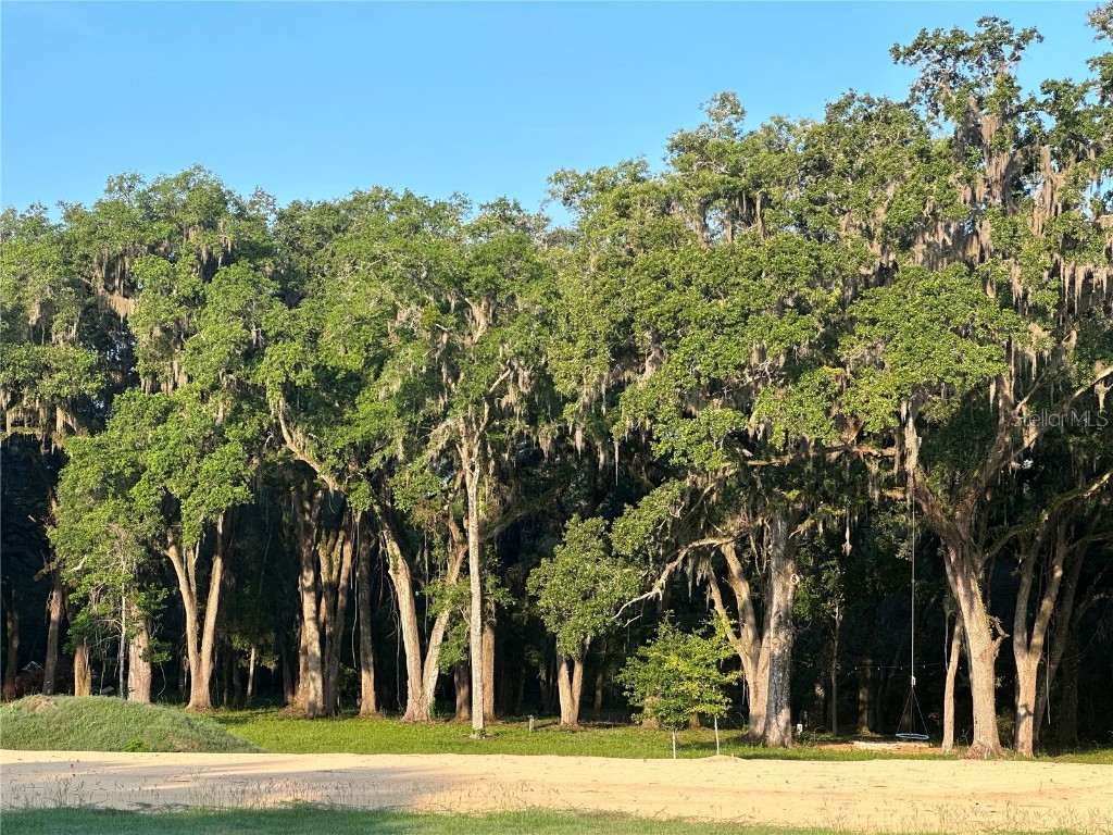 1797 NW 150 Boulevard Jonesville FL 32669 R4906853 image1