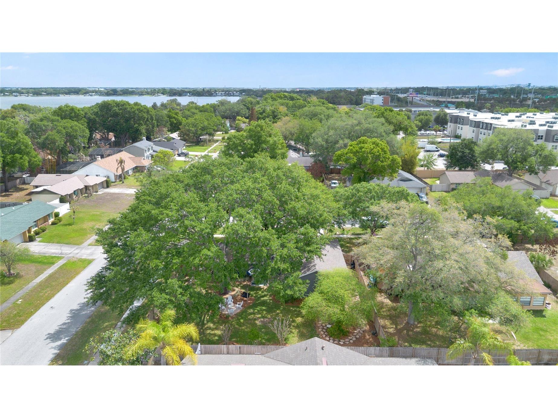 1797 Pam Circle Belle Isle FL 32809 - LAKE CONWAY O6396577 image36